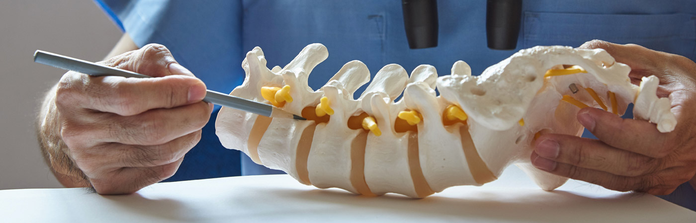 doctor points at spine model